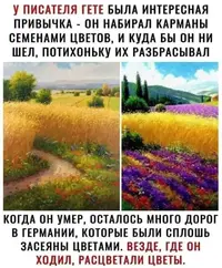 FB_IMG_1636376371362.webp
