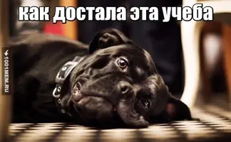 unnamed (4).webp
