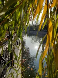 20211108_093918.webp