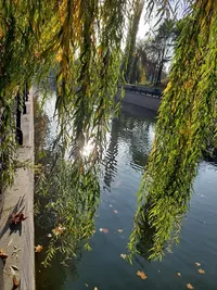 20211108_093854.webp