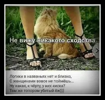 FB_IMG_1636454471922.webp