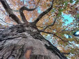 20211108_094118.webp