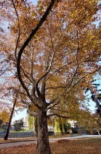 20211108_094042.webp