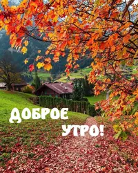 IMG-20211110-WA0004.webp