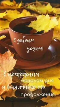 52c7f931d94f05017314e0cfd24d985b.webp