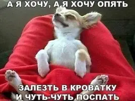 d74b8b6bd1f16a429a636fecd79184cf.webp