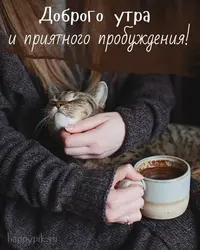 3b051aa7ba21a80eaddc07a70f73bc01.webp