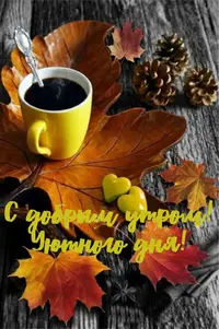 F60F8915-33FC-4674-ABA6-BF8A0EB39494.webp