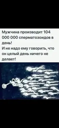 IMG-20211103-WA0001.webp