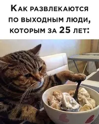 2E3DDA55-EA1A-4956-B90A-CD5B87B8ED1D.webp
