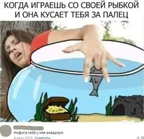 (4).webp
