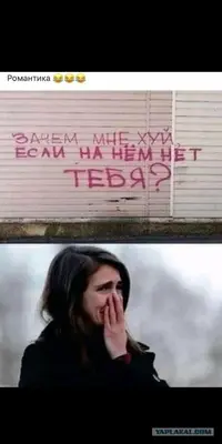 b6995b04626e1809150b423ff336db5c.webp
