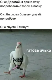 (1).webp