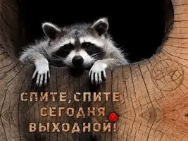 2a7e04d567e0b3d1ee38464a5c119287.webp