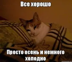 unnamed.webp