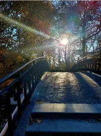Screenshot_20211111-220404_Gallery.webp