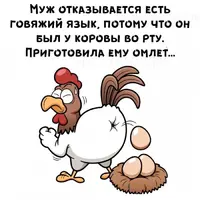 7E532571-3404-47D5-B190-5C658CD8D2B9.webp