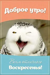 a06926e3e891bd2c65db23954e91873d.webp