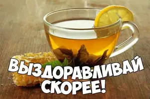 8650.webp