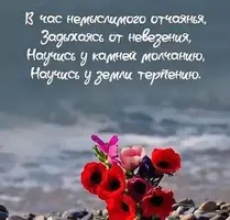Короткие-стихи-цитаты-463x445.webp