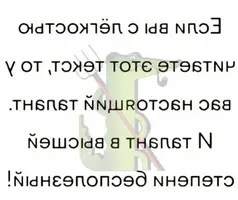 RKrP9A1KaCQ.webp