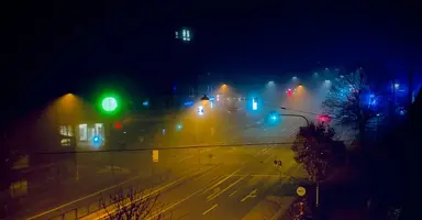 Fog_at_Home_cutted.webp