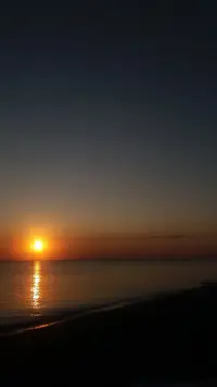 DdTGrF0Uiig.webp