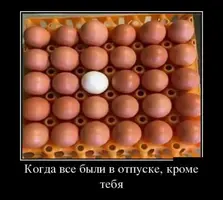 zabava-23091814214921.webp