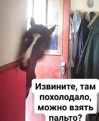 Screenshot_20211115_112110.webp