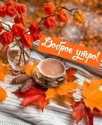 462779aa2604c503b94419979207bb6e.webp
