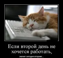 feadd6363495bcea6e47272726202b3e.webp