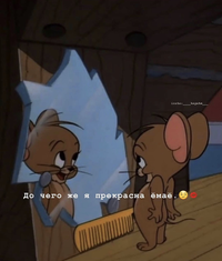 62350091-37FF-4FE9-A355-BAF8F556AE79.webp