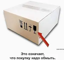 FB_IMG_1637030185200.webp