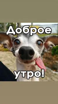 nelaskova2_20211105_3.webp