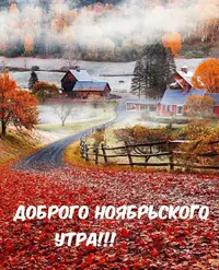 IMG-20211116-WA0002.webp