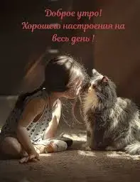 images.webp