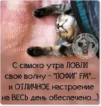 9ac3a680f57467e236b8481891e2c9e5.webp
