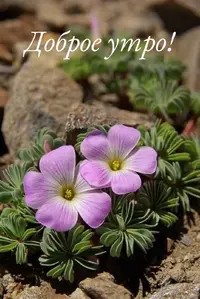 18BFD2ED-6143-4D09-982D-C164C55E3D1B.webp