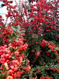 20211118_111817.webp
