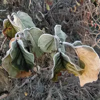 kBKqvWxaG58.webp