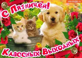 IMG-20211119-WA0007.webp