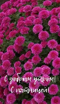 1ACCD2C5-A392-4E36-9B35-B1F73908F429.webp