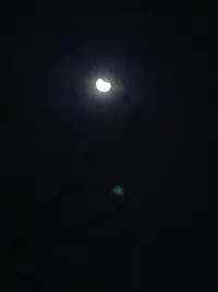 IMG-20211119-WA0044.webp