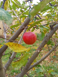 IMG_20211119_212744.webp