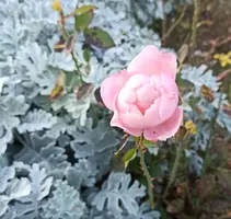 IMG_20211030_204221.webp
