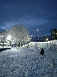 IMG20211116081858.webp