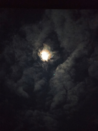 IMG_20211119_235738.webp