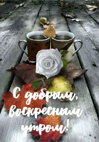 77CA51E8-9EF0-47CE-9B76-2572FB9F49F8.webp