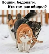 Screenshot_20211121_085102.webp