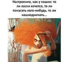 Screenshot_20211113_214822.webp